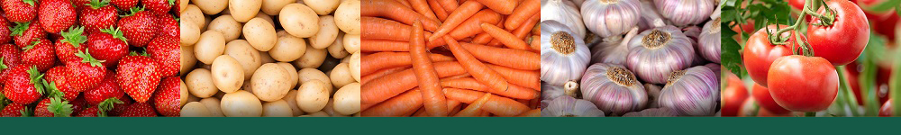 CC-CROP-17004-hortitec-2023-landing-page-header.jpg