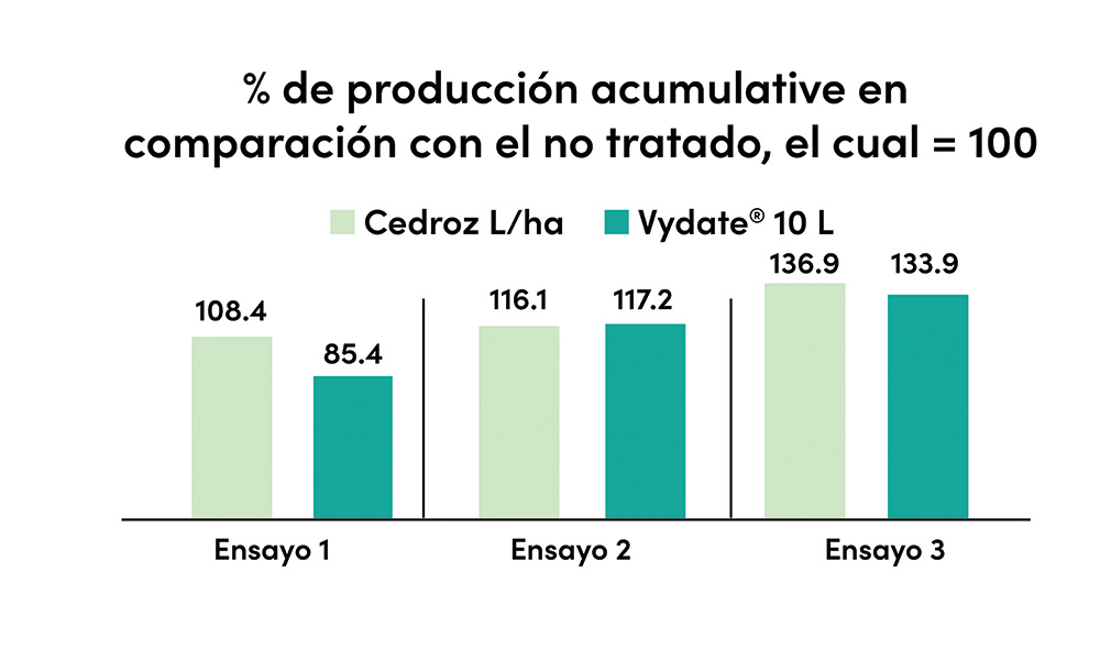 Tomates acumulados