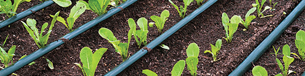 drip-irrigation-water