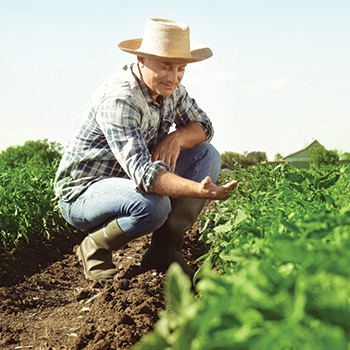 farmer-squatting-plants.jpg