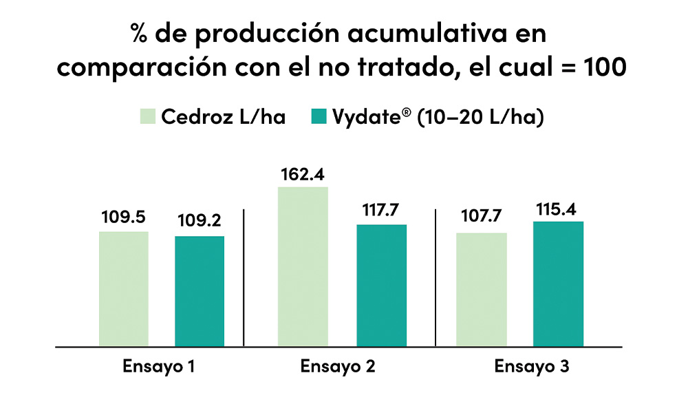 Pepinos acumulados